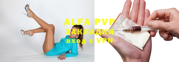 сатива Белоозёрский
