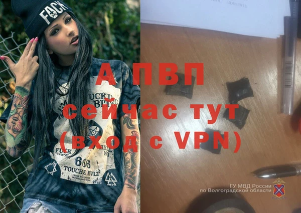 a pvp Беломорск