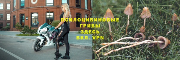 a pvp Беломорск
