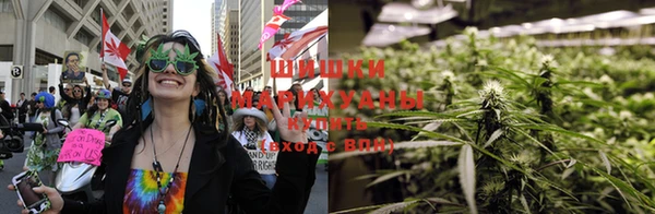 сатива Белоозёрский